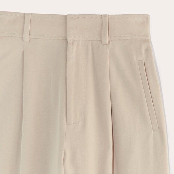 EVERLANE the draper pleated pants in sandstone (12R) - Picture 3 of 16